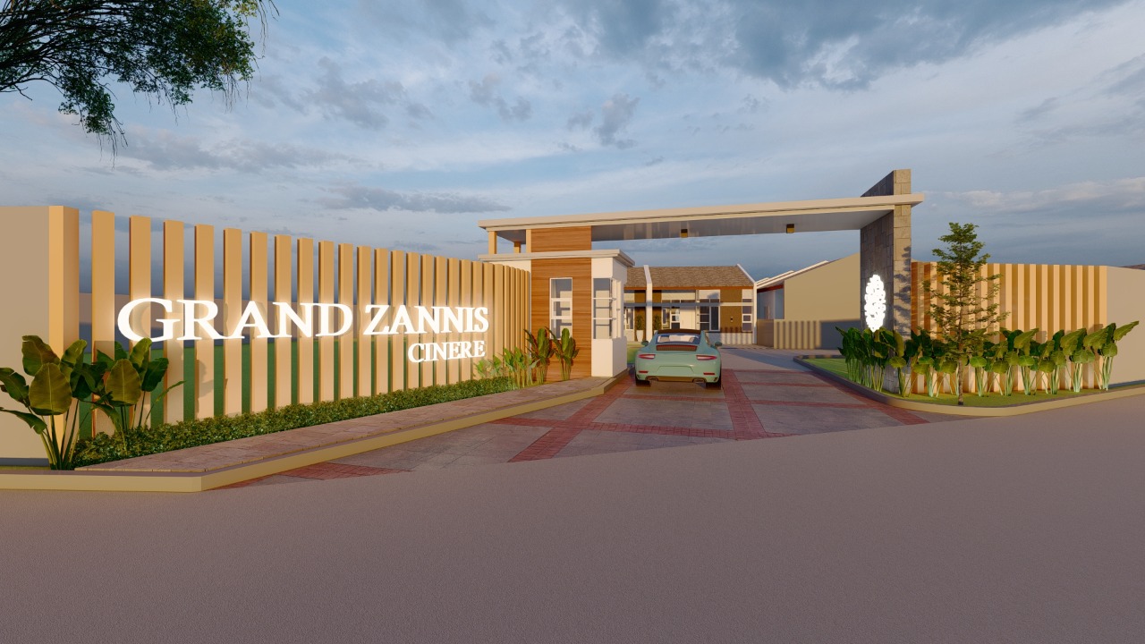 grand zanis cinere 