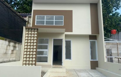grand zannis cinere