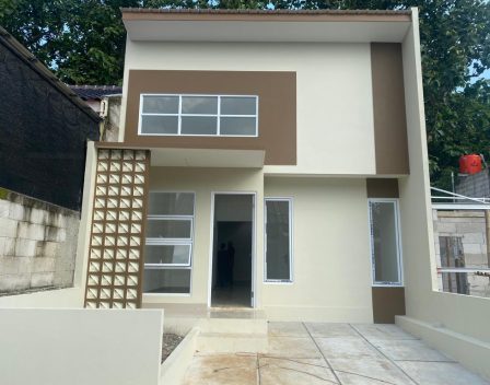 grand zannis cinere